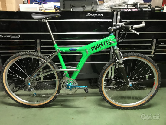 Cerco Mtb Vintage  foto-310374