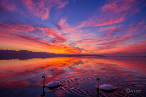 CERCO AMICA foto-35913