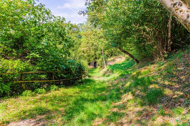 SPLENDIDO RUSTICO IN ZONA PANORAMICA A TARZO a Tarzo foto-321623