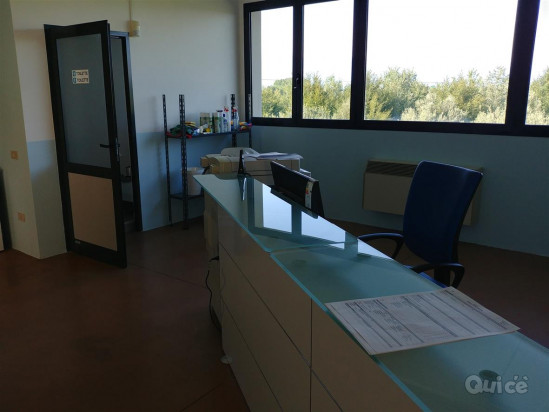 Ingegnere consulenza sicurezza e ambiente anche neolaureato foto-322567