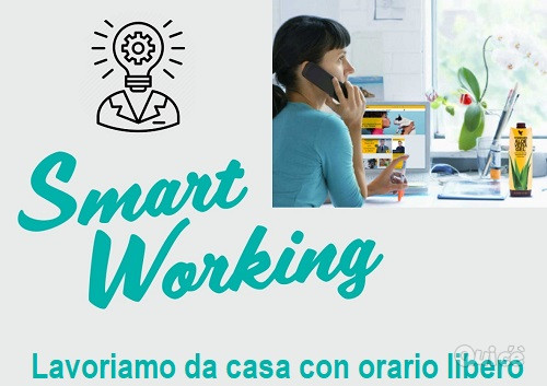 Smart working: Lavora da casa tua con orario libero foto-39830