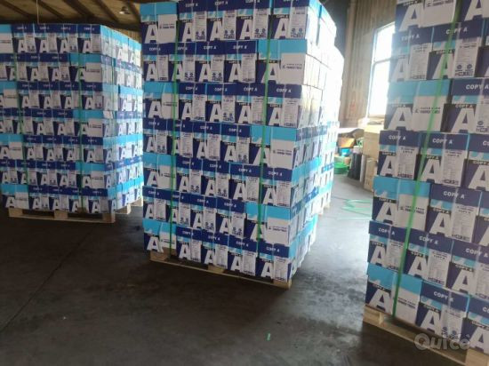 Double A4, cancelleria per ufficio, paperone, xerox, chamex, paperline, Ik plus, foto-351674