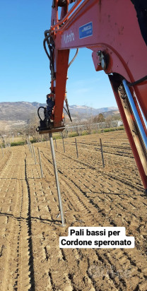 Servizi di impianto,gestione ed estirpo vigneti foto-22200