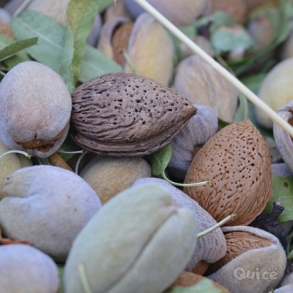 PUGLIA & le sue Bellezze PASQUA - 4 Giorni e 3 Notti foto-352078