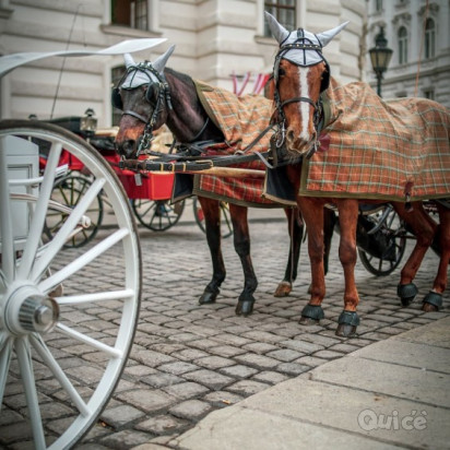 PASQUA VIENNA & LE SUE BELLEZZE - 3 Giorni e 2 Notti foto-352087