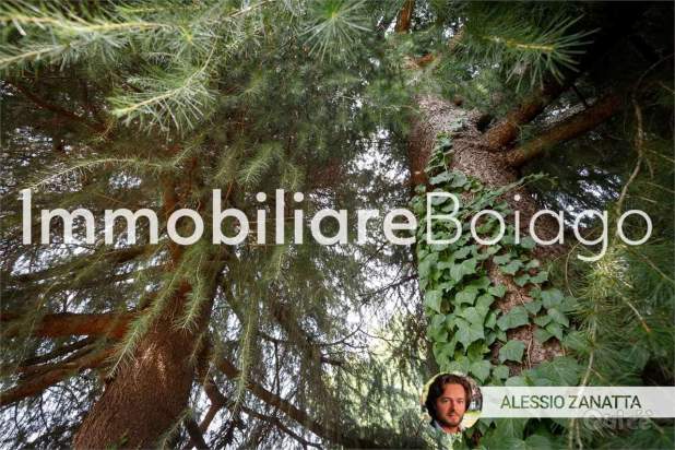 Recupero 110% !!! per una singola da sogno a Povegliano foto-353480