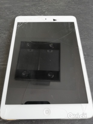 IPad 1 mini 16 GB bianco foto-22396