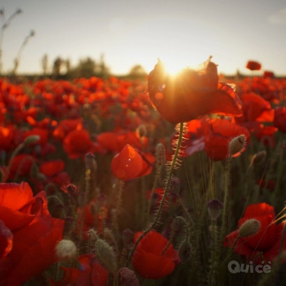 SICILIA IN TOUR - 8 Giorni e 7 Notti foto-355158