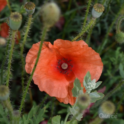 SICILIA IN TOUR - 8 Giorni e 7 Notti foto-355146