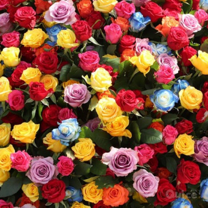 PARCO SIGURTA' & PESCHIERA - 1 Giorno foto-355167