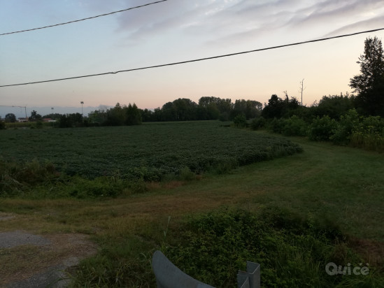 TERRENO AGRICOLO foto-42062