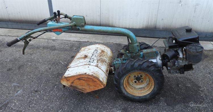 Motocoltivatore Bertolini con fresa foto-373708
