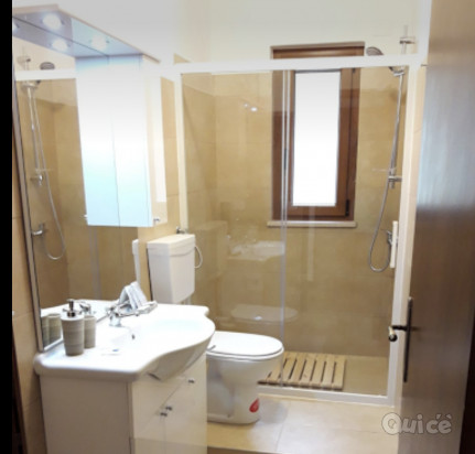 cerco collaboratrice domestica amante degli animali foto-390269