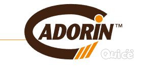 Ricerca ragioniera presso CADORIN GROUP  produzione parquet Possagno foto-45590