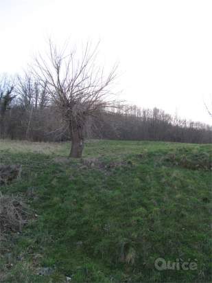 RUSTICO CON TERRENO tra TARZO E VITTORIO a Tarzo foto-24888