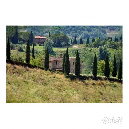 TRA LE TERRE DI TOSCANA E UMBRIA 24 Giugno foto-397357