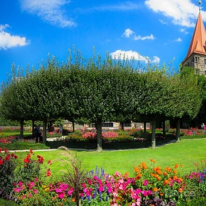 MERANO & CASTELLO TRAUTTMANSDORFF 17/07 foto-402057