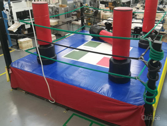 ring boxe foto-403092