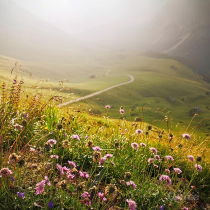 TRENO delle CENTOVALLI e SVIZZERA Canton Ticino 19/08 foto-405412
