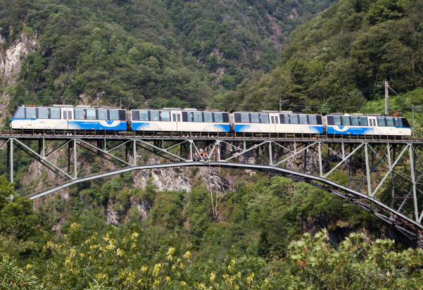 TRENO delle CENTOVALLI e SVIZZERA Canton Ticino 19/08 foto-405411