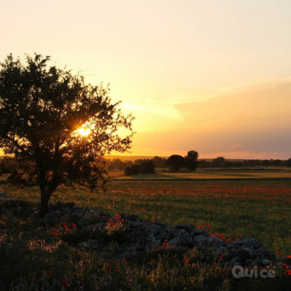 PUGLIA & MATERA 22/08 foto-405431