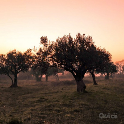 PUGLIA & MATERA 22/08 foto-405440
