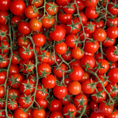 PUGLIA & MATERA 22/08 foto-405425