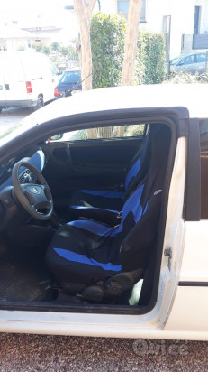 Y ELEFantino foto-419018