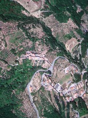 Terreno Agricolo [uliveto] – Scigliano (CS) foto-425860