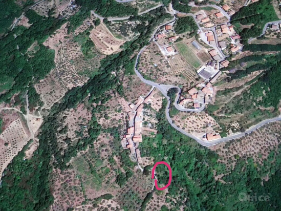 Terreno Agricolo [uliveto] – Scigliano (CS) foto-425859