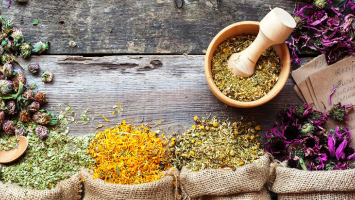 Erbe officinali  foto-50345