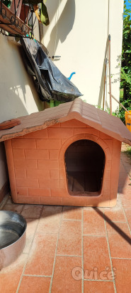 Regalo cuccia foto-50635