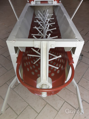 Pigiadiraspatrice foto-434281