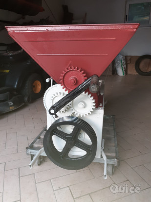 Pigiadiraspatrice foto-434278