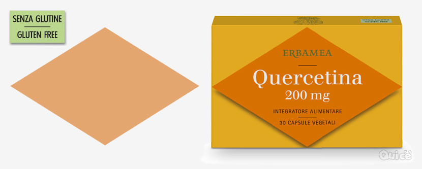 Quercetina erbamea  foto-50722