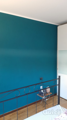 Imbianchino foto-435865