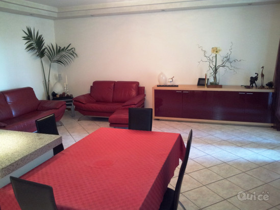 RECENTE APPARTAMENTO ARREDATO foto-32591