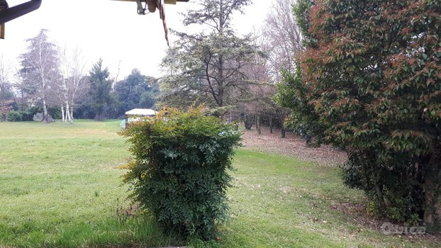 Villa unifamiliare con grande parco piantumato foto-44136