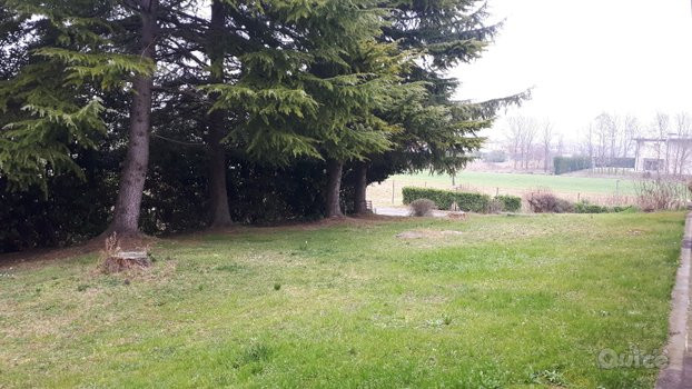 Villa unifamiliare con grande parco piantumato foto-44135