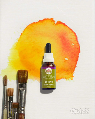 SOLARIS - FIORI AUSTRALIANI PER CHI SOFFRE IL CALDO! foto-8181