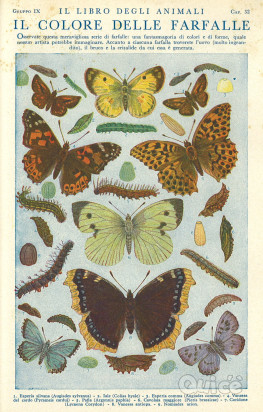 “Enciclopedia dei ragazzi” foto-49185