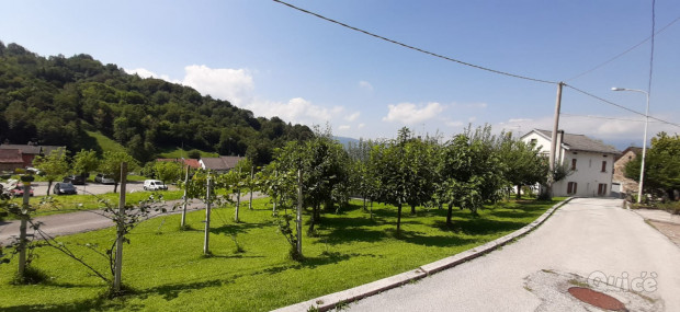 privato vende casa singola cornei alpago foto-50264