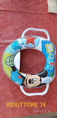 VASINO e riduttore foto-9154