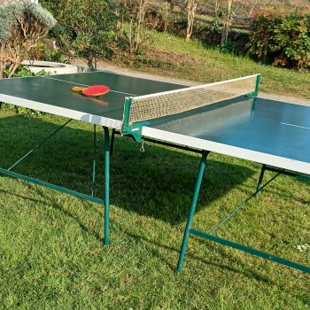 tavolo da ping pong 