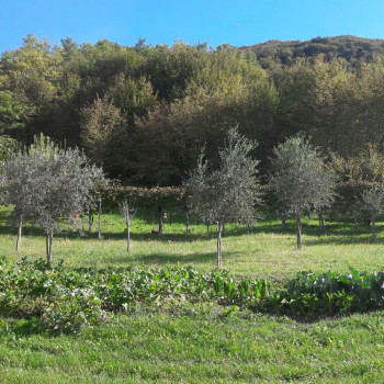 Vendo terreno a Rugolo di Sarmede