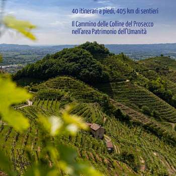 Alla scoperta delle Colline del Prosecco di Conegliano e Valdobbiadene