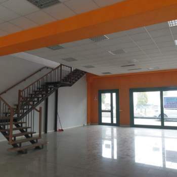 Capannone in affitto a Carpi (Modena)