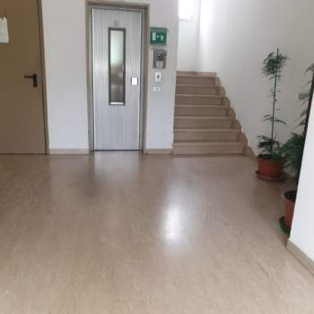 Appartamento in vendita a Novi di Modena (Modena)