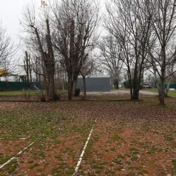 Attivita commerciale in vendita a Modena (Modena)