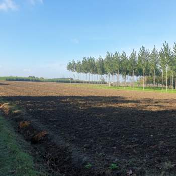 Terreno in vendita a Bomporto (Modena)